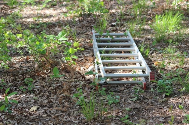 Aluminum Ladder Lying on Ground in Outdoor Setting - Ferraro Law Firm An aluminum extension ladder lying flat on the ground surrounded by grass, leaves, and dirt, representing the subject of a defective ladder lawsuit.
